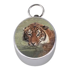 Swimming Tiger Mini Silver Compasses by ExtraGoodSauce