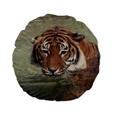 Swimming Tiger Standard 15  Premium Flano Round Cushions by ExtraGoodSauce