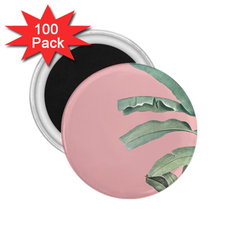 Banana leaf on pink 2.25  Magnets (100 pack) 