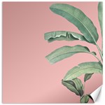 Banana leaf on pink Canvas 12  x 12  11.4 x11.56  Canvas - 1