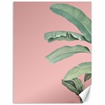 Banana leaf on pink Canvas 12  x 16  11.86 x15.41  Canvas - 1