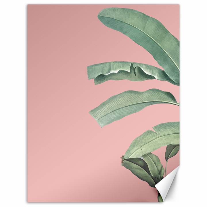 Banana leaf on pink Canvas 12  x 16 