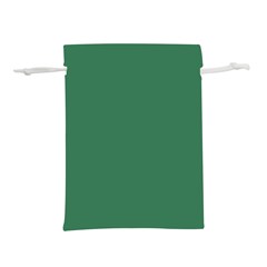 Amazon Green Lightweight Drawstring Pouch (s) by FabChoice