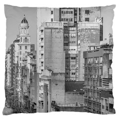 Aerial View Montevideo Uruguay Large Cushion Case (one Side) by dflcprintsclothing