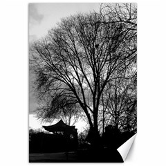 Black And White Tree Canvas 20  X 30  by DeCarolina