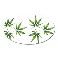 Cannabis Curative Cut Out Drug Oval Magnet by Dutashop