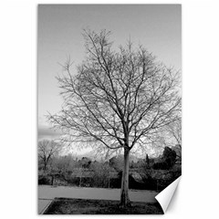 Tree Black And White Canvas 12  X 18  by DeCarolina