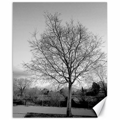 Tree Black And White Canvas 16  X 20  by DeCarolina