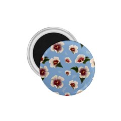 Delicate Hibiscus Flowers On A Blue Background 1 75  Magnets by SychEva