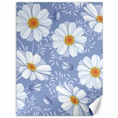 Chamomile Flowers Canvas 36  X 48  by goljakoff