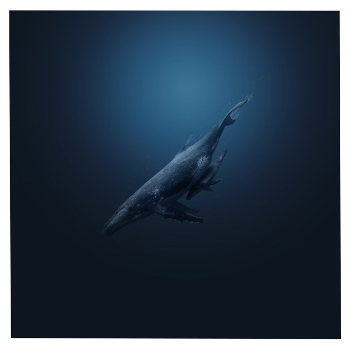 Blue whales Wooden Puzzle Square