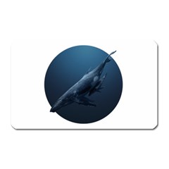 Blue Whales Magnet (rectangular) by goljakoff