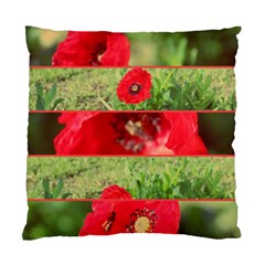 Photos Collage Coquelicots Standard Cushion Case (one Side) by kcreatif