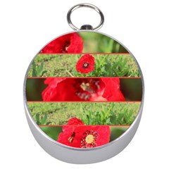 Photos Collage Coquelicots Silver Compasses by kcreatif