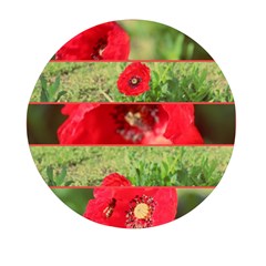 Photos Collage Coquelicots Mini Round Pill Box (pack Of 3) by kcreatif