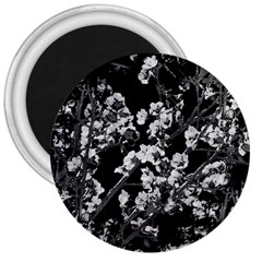 Fleurs De Cerisier Noir & Blanc 3  Magnets by kcreatif