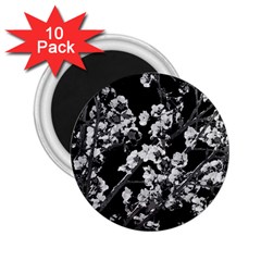 Fleurs De Cerisier Noir & Blanc 2 25  Magnets (10 Pack)  by kcreatif