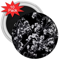 Fleurs De Cerisier Noir & Blanc 3  Magnets (10 Pack)  by kcreatif