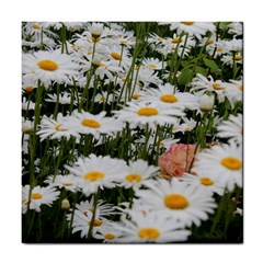 Champs De Marguerites Tile Coaster by kcreatif