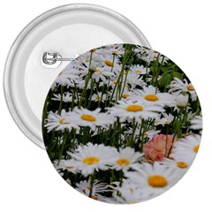 Champs De Marguerites 3  Buttons by kcreatif