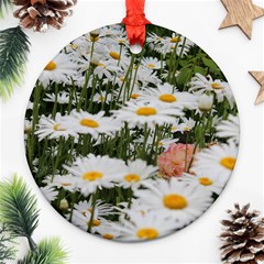 Champs De Marguerites Ornament (round) by kcreatif