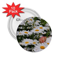 Champs De Marguerites 2 25  Buttons (10 Pack)  by kcreatif