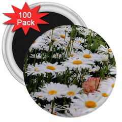 Champs De Marguerites 3  Magnets (100 Pack) by kcreatif