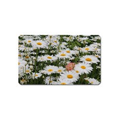 Champs De Marguerites Magnet (name Card) by kcreatif