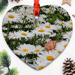 Champs De Marguerites Heart Ornament (two Sides) by kcreatif