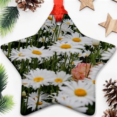 Champs De Marguerites Star Ornament (two Sides) by kcreatif