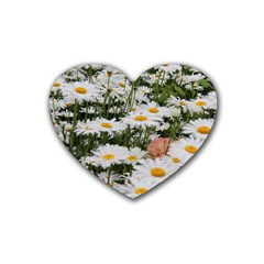 Champs De Marguerites Heart Coaster (4 Pack)  by kcreatif