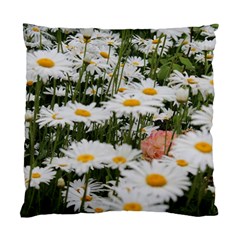 Champs De Marguerites Standard Cushion Case (two Sides)