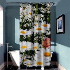 Champs De Marguerites Shower Curtain 36  X 72  (stall)  by kcreatif