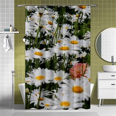 Champs De Marguerites Shower Curtain 48  X 72  (small)  by kcreatif