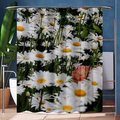 Champs De Marguerites Shower Curtain 60  X 72  (medium)  by kcreatif