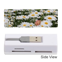 Champs De Marguerites Memory Card Reader (stick) by kcreatif