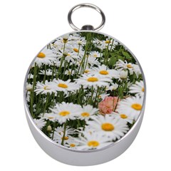 Champs De Marguerites Silver Compasses by kcreatif