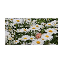 Champs De Marguerites Yoga Headband by kcreatif