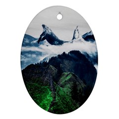 Whales Peak Oval Ornament (two Sides) by goljakoff