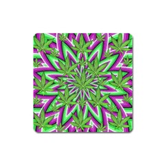 Purple, White, Green, Marijuana, Leaves, Cbdoilprincess  5de76707-e767-40d0-a70d-e7c36407f0a3 Square Magnet by CBDOilPrincess1