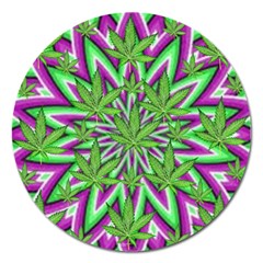 Purple, White, Green, Marijuana, Leaves, Cbdoilprincess  5de76707-e767-40d0-a70d-e7c36407f0a3 Magnet 5  (round) by CBDOilPrincess1