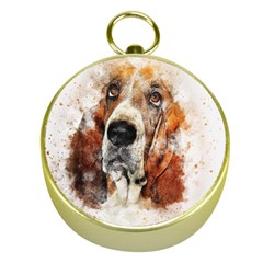 Dog Paint Gold Compasses by goljakoff