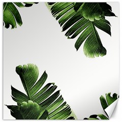 Green Banana Leaves Canvas 12  X 12  by goljakoff