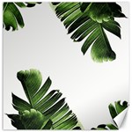 Green banana leaves Canvas 12  x 12  11.4 x11.56  Canvas - 1