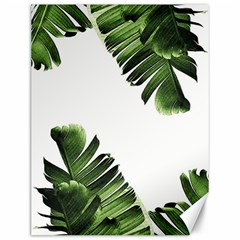 Green Banana Leaves Canvas 12  X 16  by goljakoff