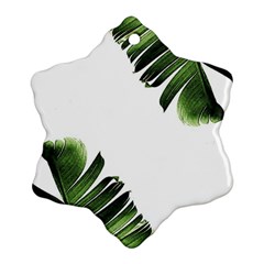 Green Banana Leaves Ornament (snowflake) by goljakoff