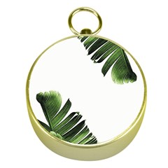 Green Banana Leaves Gold Compasses by goljakoff