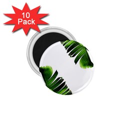 Banana Leaves 1 75  Magnets (10 Pack) 