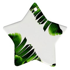 Banana Leaves Star Ornament (two Sides) by goljakoff