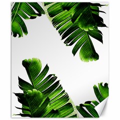 Banana Leaves Canvas 8  X 10  by goljakoff